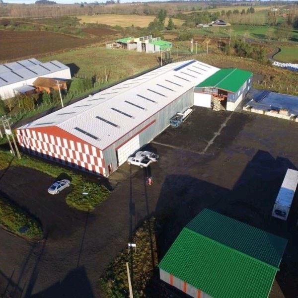 Heavy Weight Steel Structure Workshop