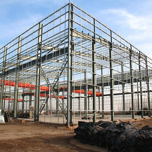 Steel Structure Warehouse With Cargo Shelves