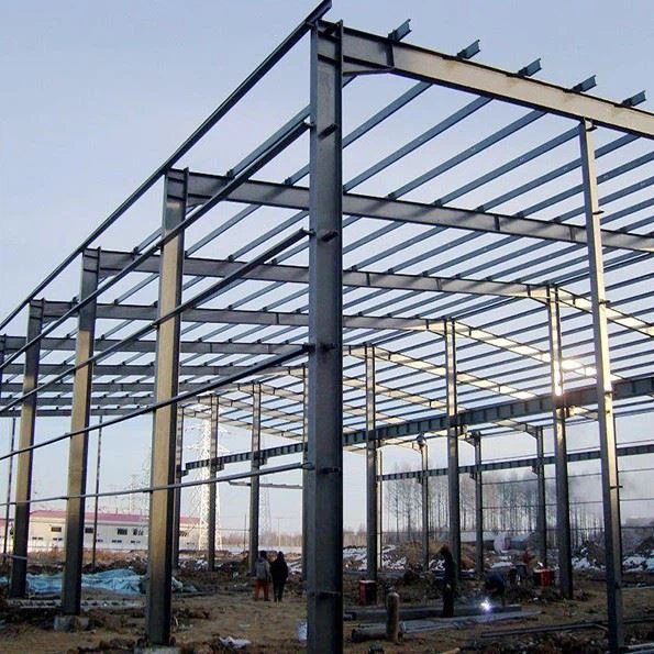 Steel Structure Warehouse With Cargo Shelves