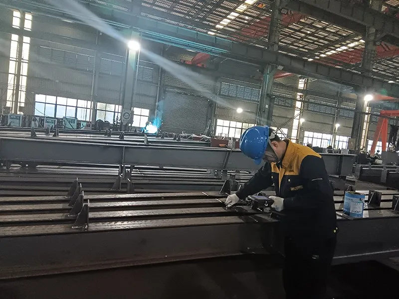 Chile steel structure warehouse fabrication22 Chile steel structure warehouse fabrication22